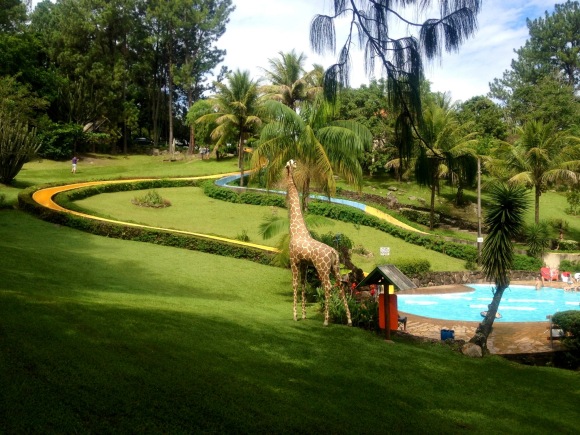 Chapéu de Sol_piscina toboágua_girafa